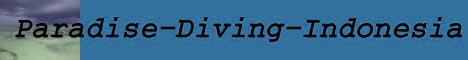 Paradise Diving Indonesia Bali - Banner