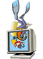 Diving Bali - Spa� & Fun