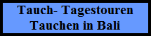 Daily Trips / Fun Diving in Bali