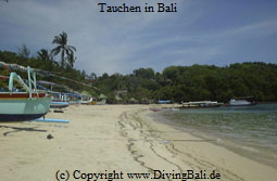 Tauchen in Bali