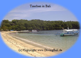 Ausleger Tauchboot mit Sonnendeck !