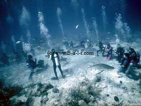 Fotos von Tauchpl�tzen in Bali  -klick-