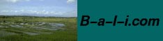 Bali Info - Tauchen Hotels Fl�ge Rundreisen - Alte Version