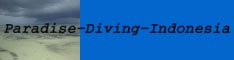PARADISE DIVING INDONESIA - BALI 