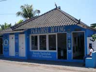 Scuba Diving Education in Bali