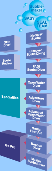 SASY - Bubblemaker - Seal Team - Discover Scuba ...